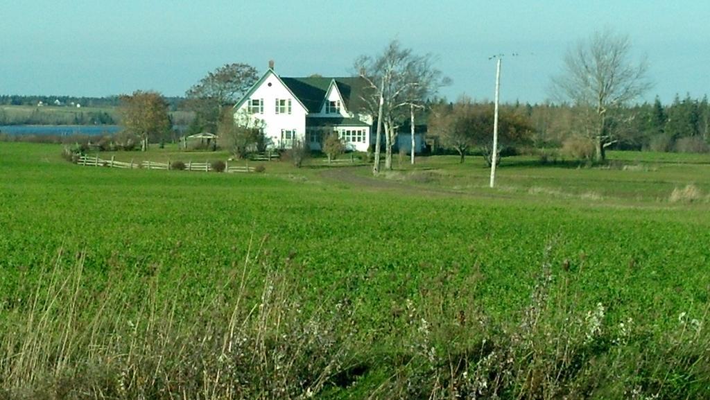 Lovely Green Gable Home Miscouche Eksteriør bilde