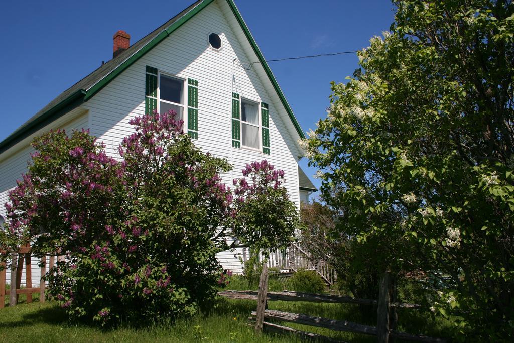 Lovely Green Gable Home Miscouche Eksteriør bilde