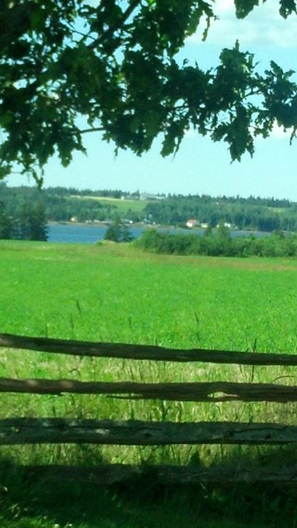 Lovely Green Gable Home Miscouche Eksteriør bilde
